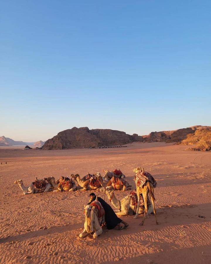 Wadi Rum Rose Luxury Camp Exterior photo