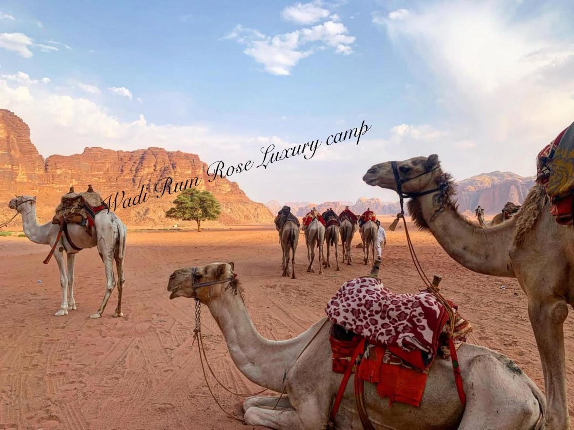Wadi Rum Rose Luxury Camp Exterior photo